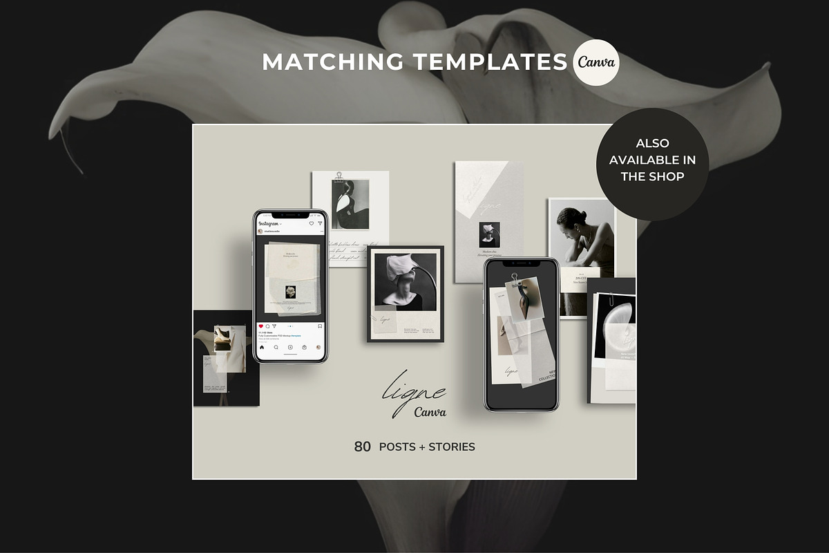 Services Website Canva Template, a Landing Page Template by Studio Suvelle (Photo 6 of 7)
