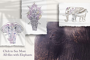 71 items India Dreams Ethnic Set, an Illustration by anvinoart (Thumbnail 8 of 16)