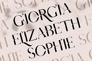 Giorgia - Elegant Ligature Serif, a Serif Font by SilverStag Type Foundry (Thumbnail 7 of 15)