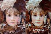 Bjorndale Presets - Desktop & Mobile, an Action Add-On by Presetrain Co. (Thumbnail 6 of 9)