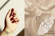 Silk moth metamorphosis, an Animal Illustration by handsketched (Thumbnail 5 of 8)
