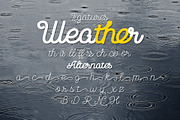 November Rain, a Script Font by NREY (Thumbnail 4 of 5)