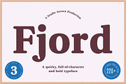 Fjord - Soft Fat Serif Font, a Serif Font by Studio Aurora (Thumbnail 10 of 10)