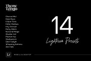 14 Dark and Moody Lightroom Presets, a Preset Add-On by ThemeTango (Thumbnail 10 of 10)