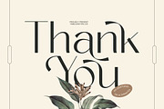 Amira Monte Elegant Display Font, a Sans Serif Font by timelesstype.co (Thumbnail 20 of 20)