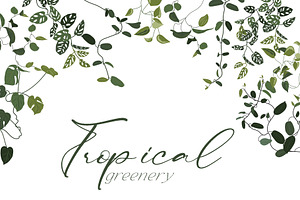 Tropical greenery.