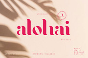 10+ MODERN FONT BUNDLE SALE, a Serif Font by delipensil (Thumbnail 7 of 27)