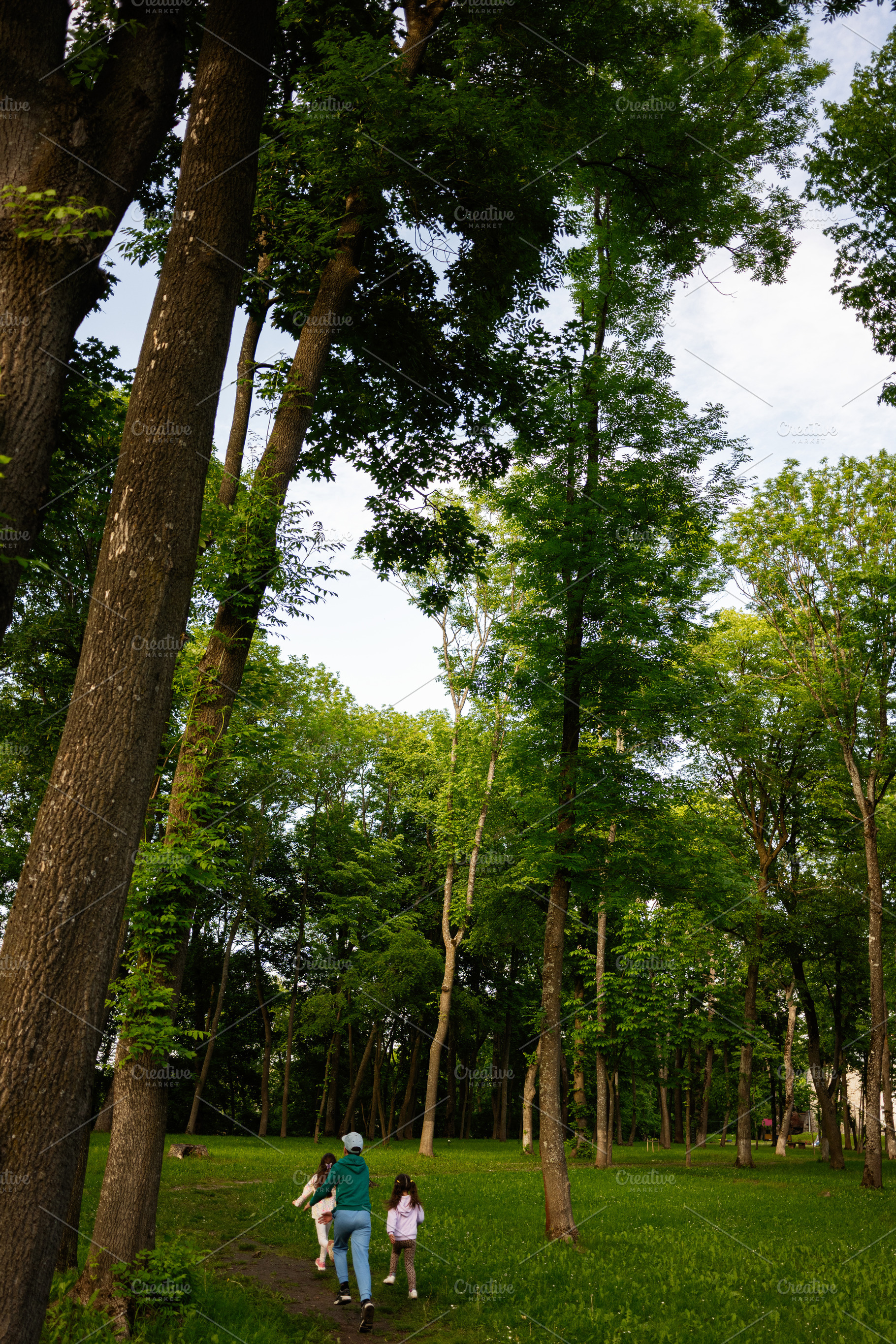 Family walking through lush green forest on a summer day, a Person Photo by AS photostudio