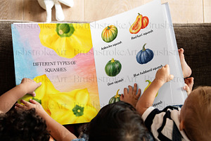 Watercolor Squash Clipart, Vegetable