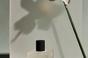 265 Cosmetic Packaging Stock Photos, a Beauty & Fashion Photo by Tale.Haus (Thumbnail 19 of 19)