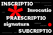 HN Cito, a Slab Serif Font by Hora Nocte (Thumbnail 8 of 12)