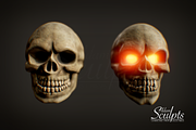 Skull Selection, a Characters & Person 3D Model by Adam Sculpts (Thumbnail 1 of 2)