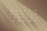 Mengila Elegant Serif, a Serif Font by Perfectype (Thumbnail 8 of 8)