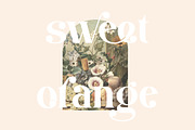 Damona, a Sans Serif Font by Flawless And Co (Thumbnail 10 of 12)