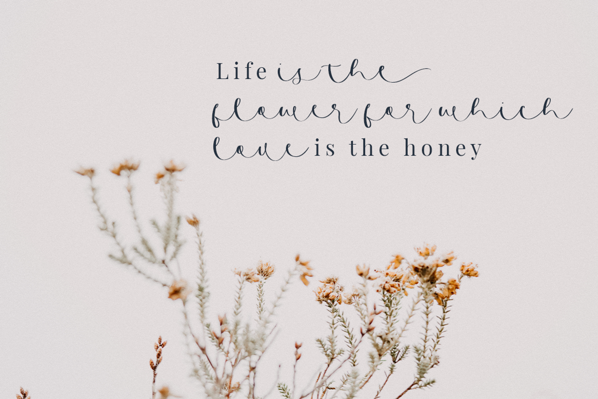 Curly Script | A Handwritten Font, a Script Font by Colllab Studio (Photo 12 of 19)