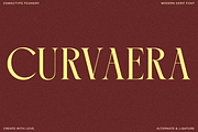 Golden Brown - Modern Serif Typeface, a Serif Font by Comactype Foundry (Thumbnail 9 of 20)