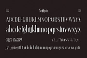 Neittgan Elegant Ligature Serif Font, a Serif Font by Perfectype (Thumbnail 6 of 6)