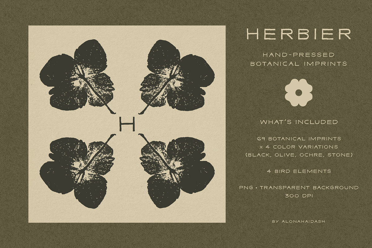 Hand-Pressed Botanical Imprints, an Object Graphic by alonahaidash (Photo 6 of 13)