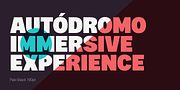 Palo, a Sans Serif Font by TypeUnion (Thumbnail 11 of 17)