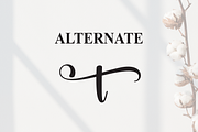 Amateur | Script Font, a Handwritten Font by Scratchones (Thumbnail 8 of 9)
