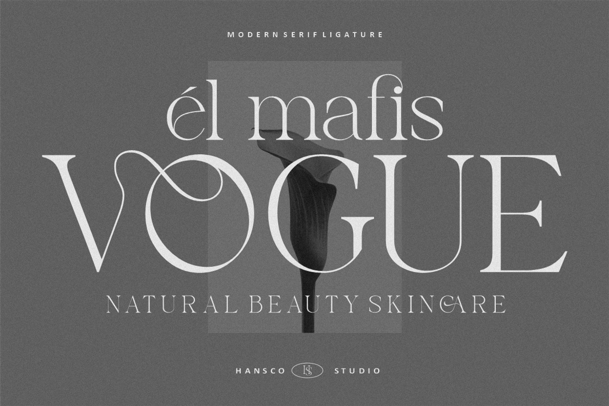 Notica Serif Font – Elegant Font, a Serif Font by HansCo Studio (Photo 3 of 10)