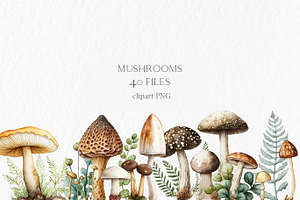 Mushrooms Watercolor Clipart PNG