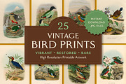 25 Vintage Bird Prints, an Animal Illustration by The Object Atlas (Thumbnail 1 of 9)