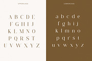 Mogan-Modern Serif Font, a Serif Font by Flawless And Co (Thumbnail 8 of 11)