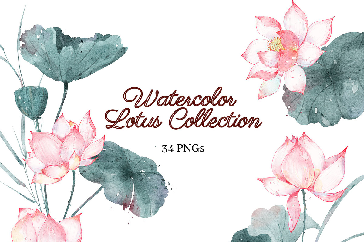 Watercolor Lotus Clip Art Collection, an Object Illustration by ArtbyHien (Photo 1 of 5)