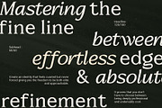 Metaspire - Modern Display Serif, a Serif Font by Bale Type (Thumbnail 8 of 9)