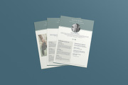 Resume template | Canva, a Templates & Theme by Strategie Creative (Thumbnail 3 of 4)