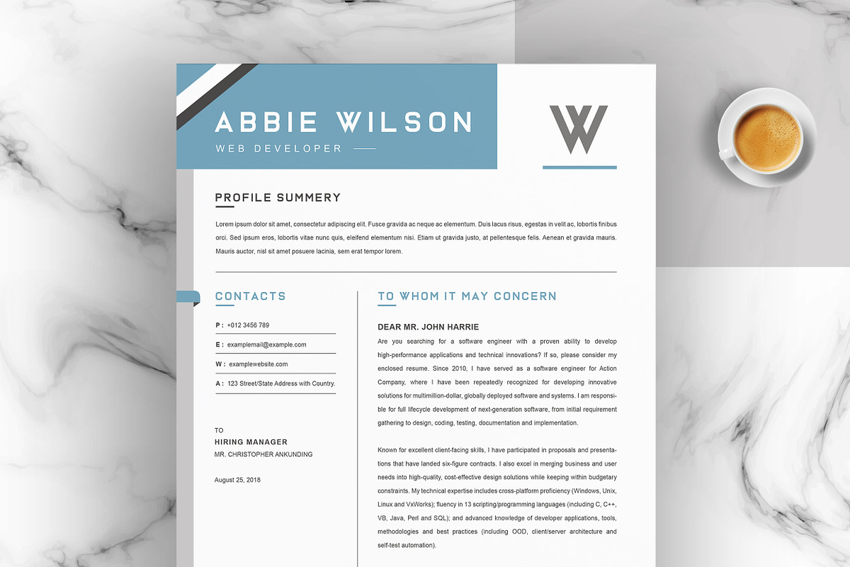 JOB WINNING RESUME - 50 TEMPLATES, a Resume Template by ResumeInventor (Photo 106 of 184)