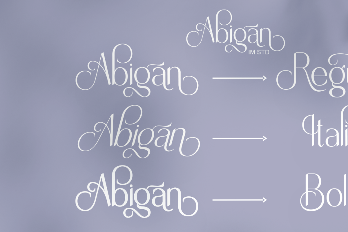 Abigan, a Serif Font by IM Studio (Photo 8 of 8)