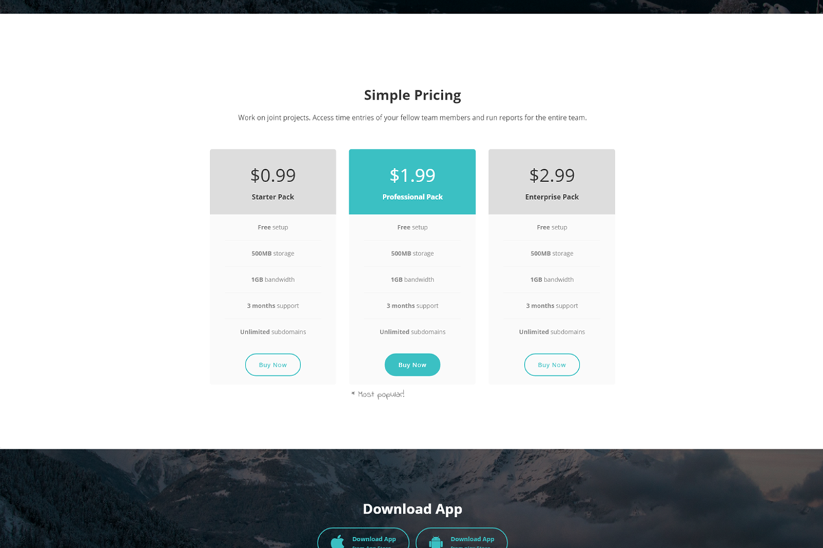 MobiApp - Responsive App Template, a HTML Template by Coderthemes (Photo 4 of 4)