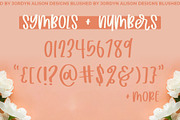 Blushed, Thick Marker Font, a Handwritten Font by Jordyn Alison Designs (Thumbnail 5 of 8)