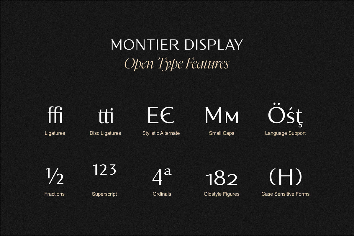 Montier Elegant Display, a Sans Serif Font by Glowtype (Photo 14 of 15)