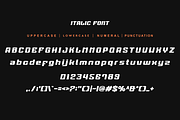 Gymaxim Sportnet, a Sans Serif Font by QR Design Studio (Thumbnail 10 of 11)