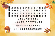 Fox Pumpkin Font, a Slab Serif Font by Fox7 By Rattana (Thumbnail 9 of 10)