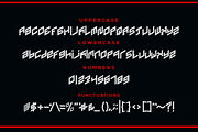 Prostion font, a Serif Font by VectorCraft (Thumbnail 3 of 4)