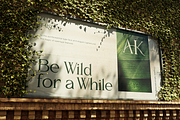 Falsome, a Serif Font by Burntilldead (Thumbnail 10 of 12)
