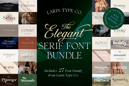 Elegant Serif Font Bundle, a Serif Font by Larin Type Co.