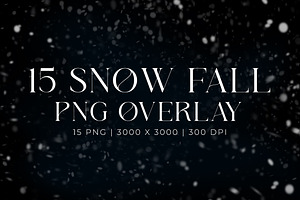 15 Snow Fall Overlay