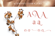 Doren Perfume, a Serif Font by Burntilldead (Thumbnail 12 of 15)