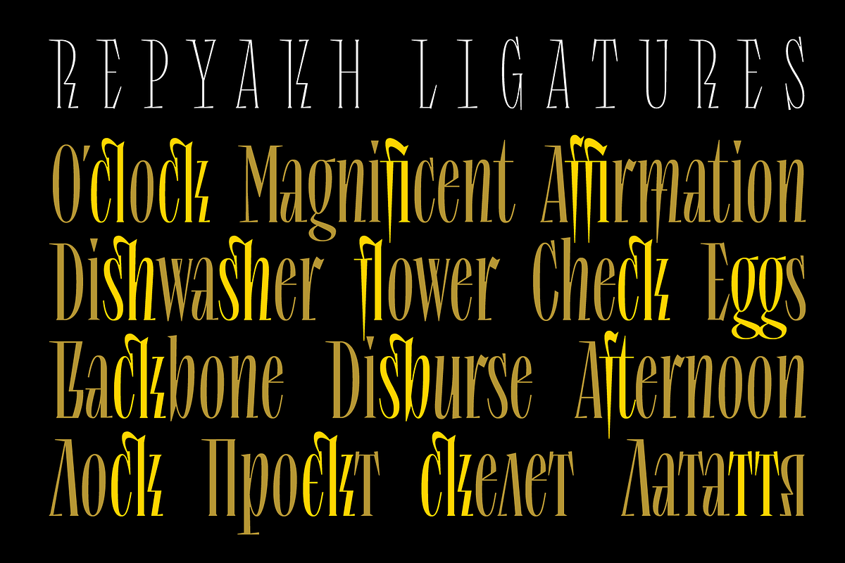 Repyakh Serif type family, a Serif Font by LevType (Photo 10 of 14)