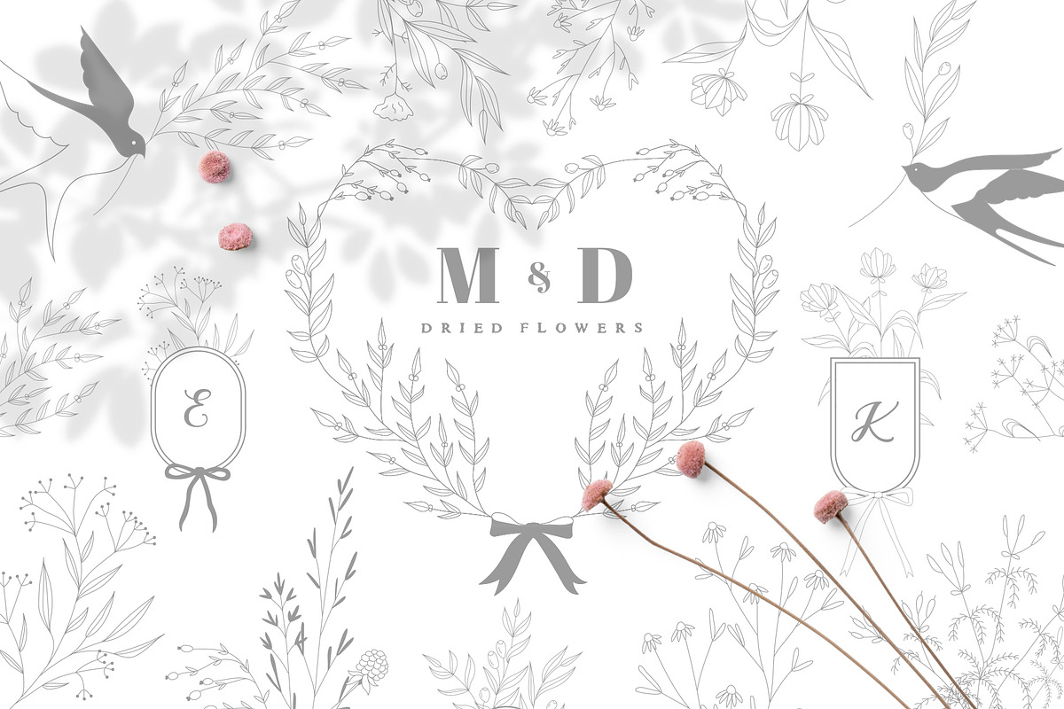 DRIED BOTANICALS COLLECTION, a Decorative Illustration by Luna Dreams (Photo 1 of 13)