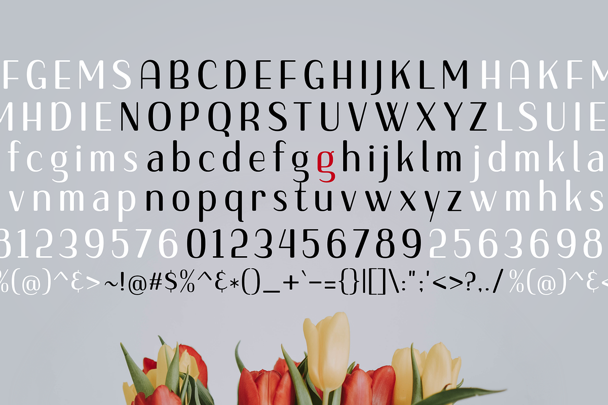 Gojet ~font family, a Sans Serif Font by 611 Studio (Photo 4 of 8)