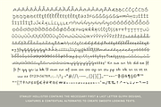 Stanley Hollister - Premium Bundle, a Handwritten Font by Punch (Thumbnail 6 of 8)