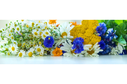 Medicinal herbs on the table, a Food & Drink Photo by yanadjana