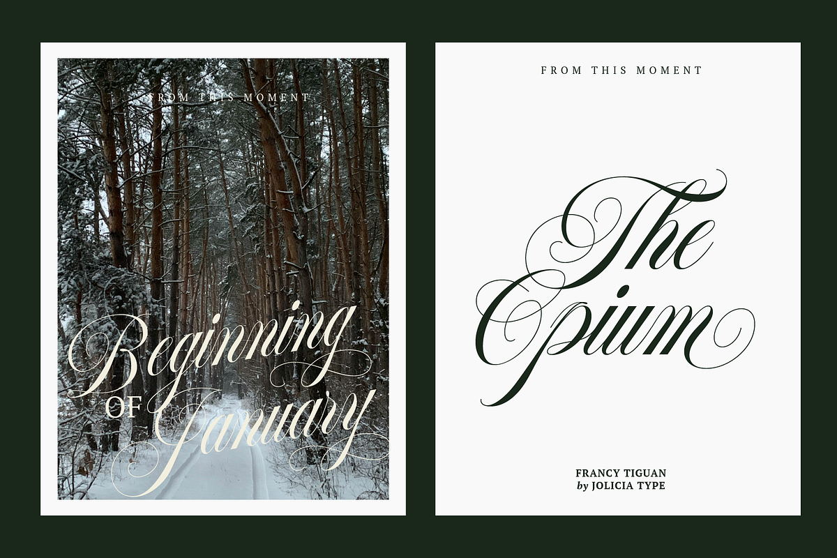 Francy Tiguan | Classy Script Font, a Script Font by Jolicia Type (Photo 6 of 12)