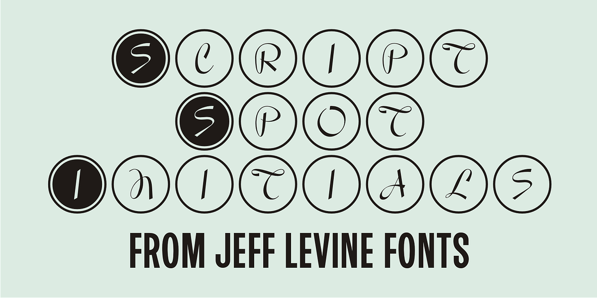 Script Spot Initials JNL, a Symbol Font by Jeff Levine Fonts
